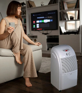 Comment fonctionne un déshumidificateur portable ?