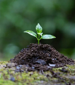Une nouvelle façon de nettoyer tout en respectant la nature.