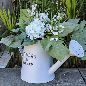 Arrosoirs offerte al miglior prezzo