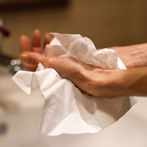 Bobines de papier 800 déchirures offerte al miglior prezzo