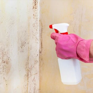 Insecticide et mildiou offerte al miglior prezzo