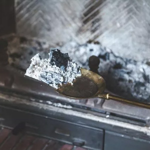 Aspirateur à cendres de cheminée offerte al miglior prezzo