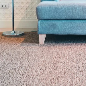 Nettoyants pour tapis offerte al miglior prezzo