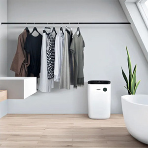 Déshumidificateurs portables offerte al miglior prezzo