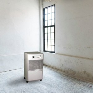 Déshumidificateur portable professionnel offerte al miglior prezzo