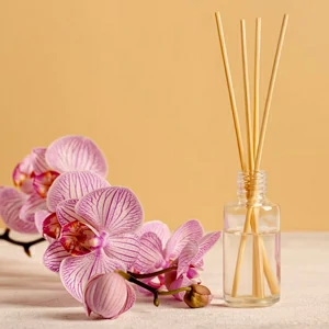 Diffuseurs Stick offerte al miglior prezzo