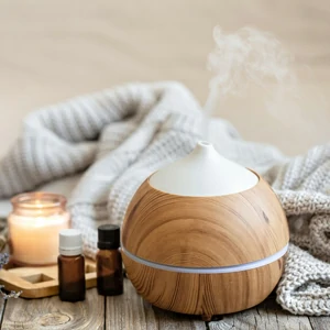 Diffuseurs de parfum offerte al miglior prezzo