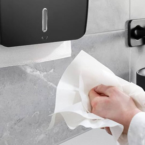 Distributeur de serviettes en papier offerte al miglior prezzo