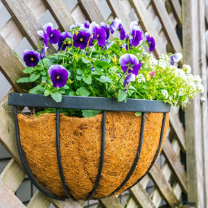 Pots de fleurs, jardinières et jardins surélevés offerte al miglior prezzo