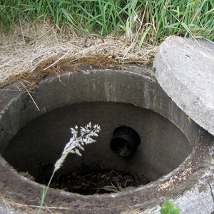 Papier toilette pour fosses septiques offerte al miglior prezzo