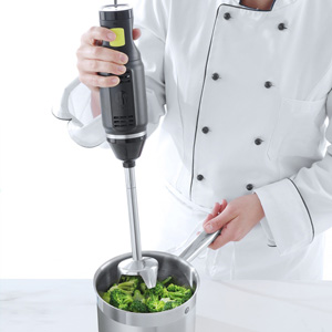 Mixeurs à immersion professionnels offerte al miglior prezzo