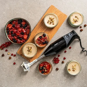 Mélangeurs à immersion offerte al miglior prezzo