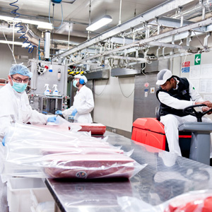 Détergents pour l'industrie alimentaire offerte al miglior prezzo