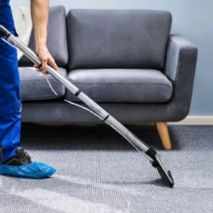 Nettoyeur de tapis offerte al miglior prezzo