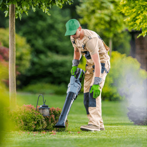 Entretien du jardin offerte al miglior prezzo