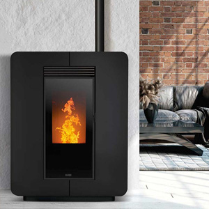 Aspirateur à cendres à pellets offerte al miglior prezzo