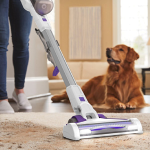 Balai électrique pour animaux offerte al miglior prezzo