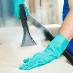 nettoyeurs à vapeur pour canapés offerte al miglior prezzo
