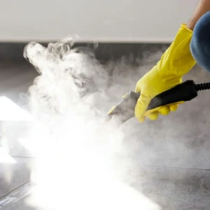 Nettoyage à la vapeur offerte al miglior prezzo