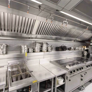 Désinfectant pour cuisine offerte al miglior prezzo