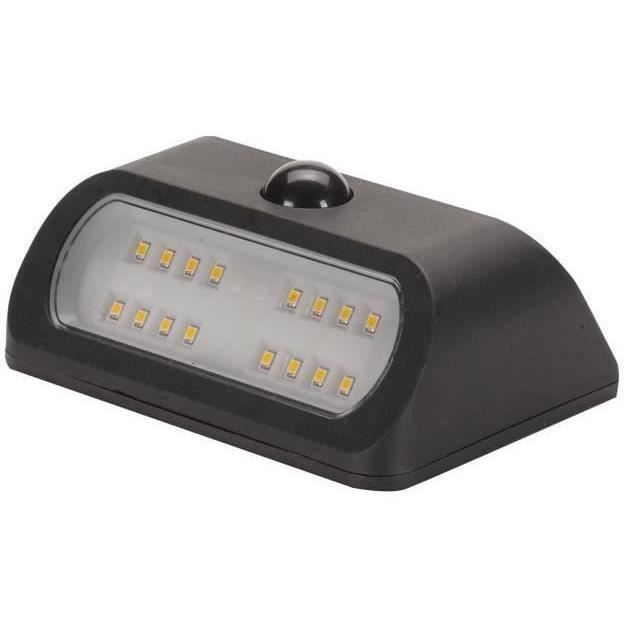 Projecteurs solaires Sentinel SMART GARDEN, lot de 2, 50 lumens