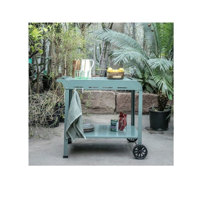 Fer à repasser pour chariot - LIVOO - GS168V - Vert/Noir