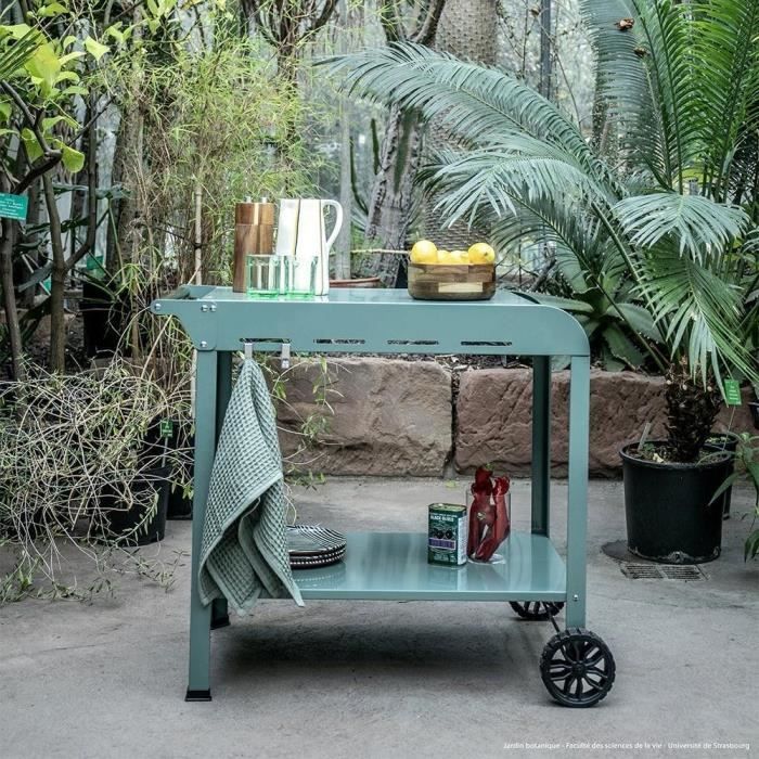 Fer à repasser pour chariot - LIVOO - GS168V - Vert/Noir