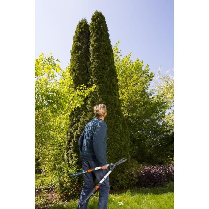 Taille-haies télescopiques TeleCut GARDENA
