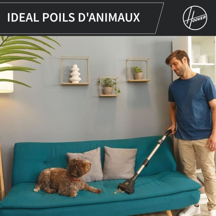 Aspirateur sans sac - HOOVER - HP321PAF - 850 W - 75 dBA - 2 L - Gris