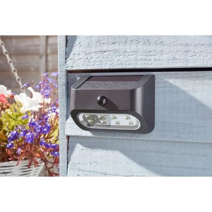 Projecteurs solaires Sentinel SMART GARDEN, lot de 2, 50 lumens