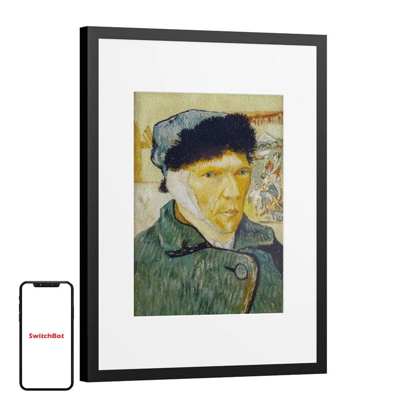 SwitchBot AI Art Frame 13.3" Cornice Digitale per Foto