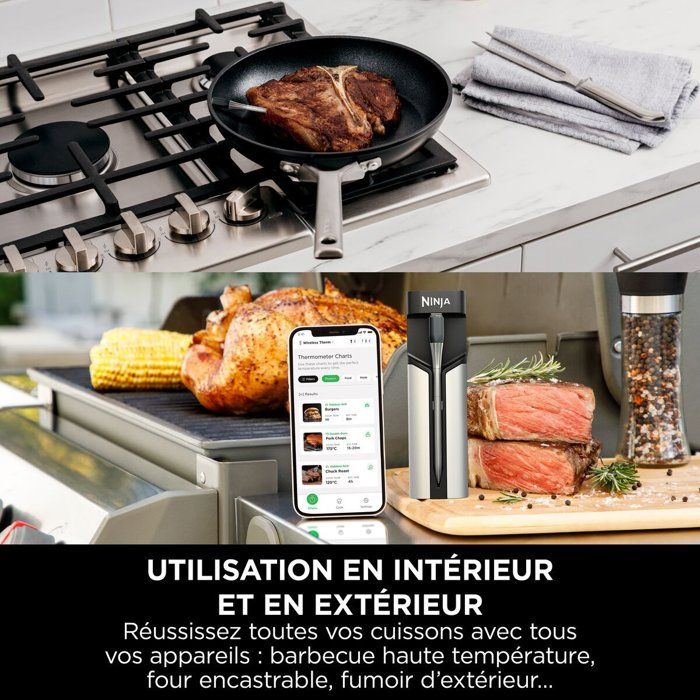 Termometro a sonda NINJA Connected - WP100EU - Wireless ProChef - Monitoraggio Bluetooth/Wi-Fi - Per cucinare e grigliare