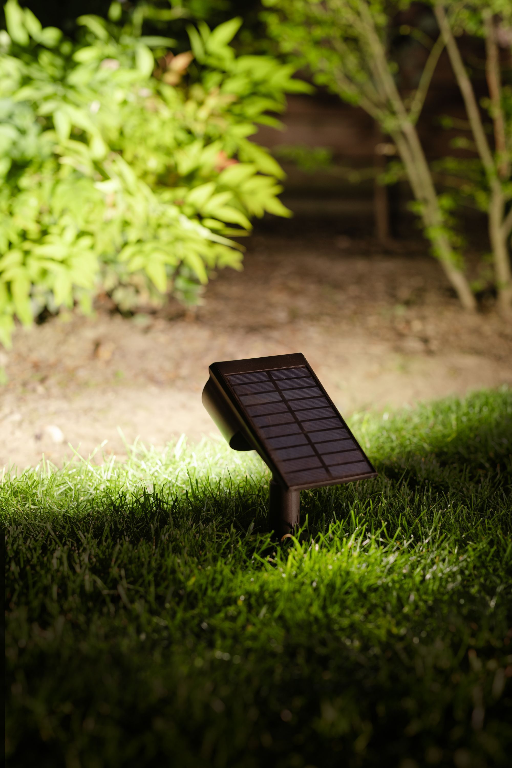 Faretto solare per piantagione - GALIX - G2603 - 300 lumen Doppia illuminazione (disponibile opzione lampada da parete) - Sensore di movimento