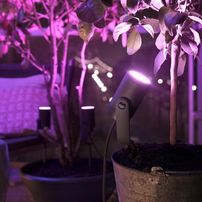PHILIPS Kit di 3 punti collegati HW e CA Lily 8W - Antracite