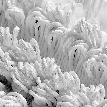 Boîte à 5 franges en Microriccio avec système Velcro de 60 cm.