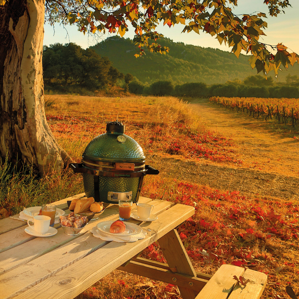 Barbecue Mini Max - Gros œuf vert