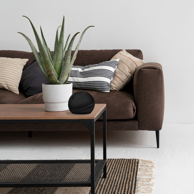 Purificateur d'air noir Bioxigen Globo