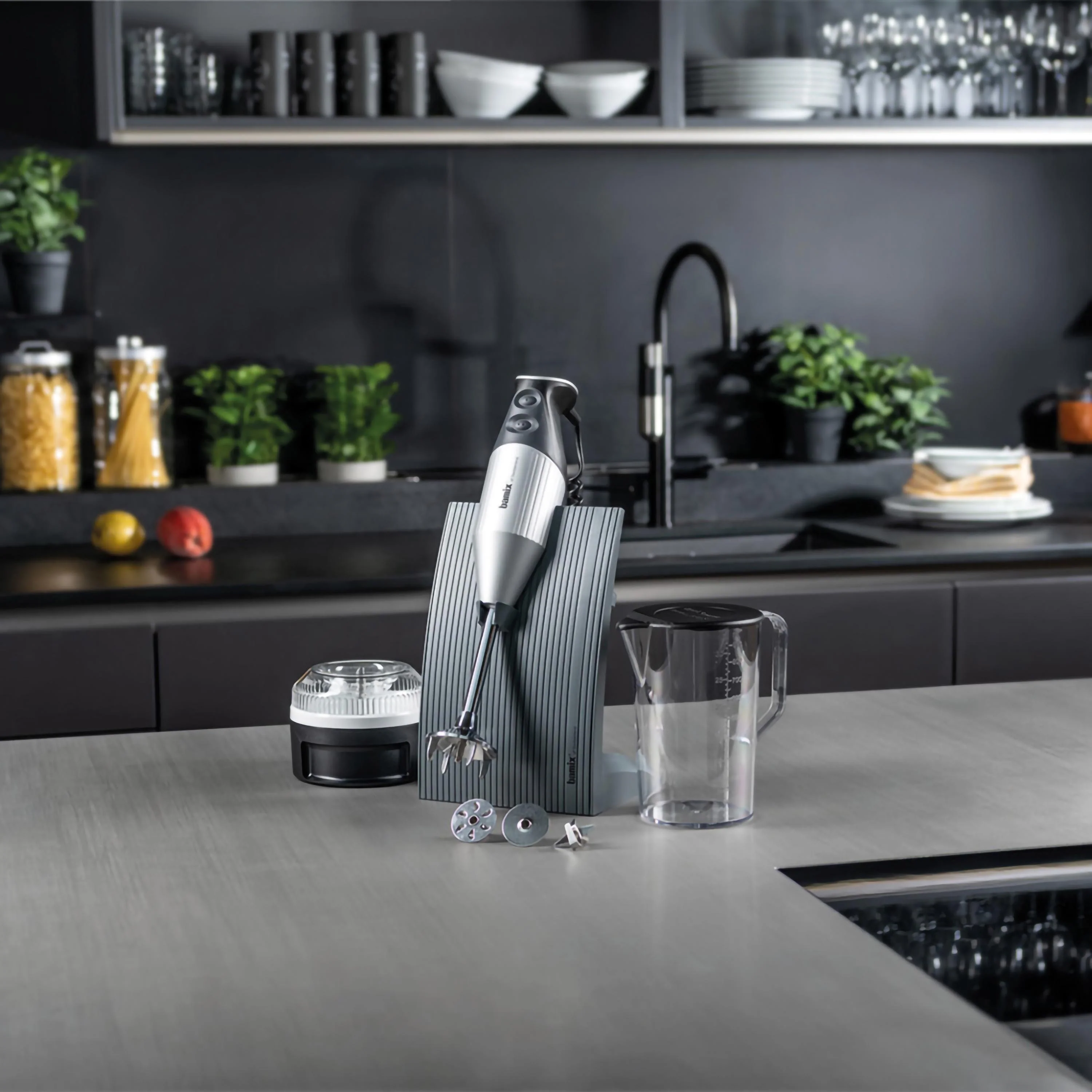 Mélangeur à immersion Bamix SwissLine Silver