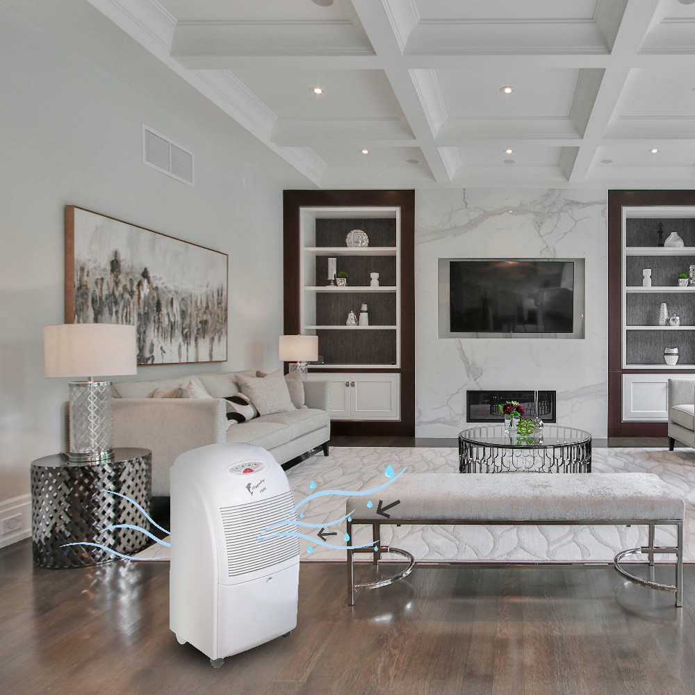 Nouveau déshumidificateur blanc Flipperdry 300