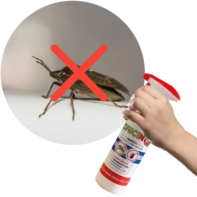 Insecticide pour insectes, puces et tiques Cimicino 500 ml