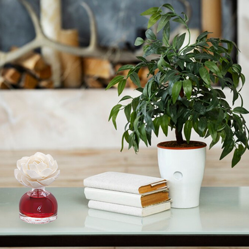 Désodorisant d'ambiance à la fleur d'orchidée 100 ml Divine Red