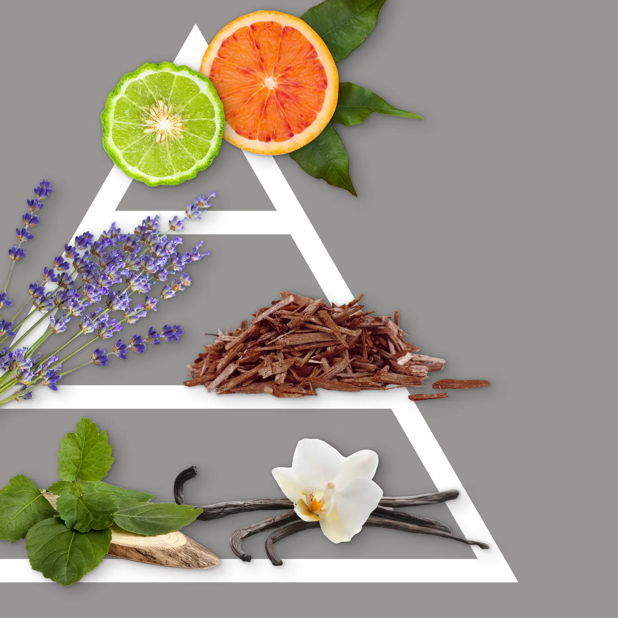 Désodorisant avec fleur 100 ml Noble Sandal