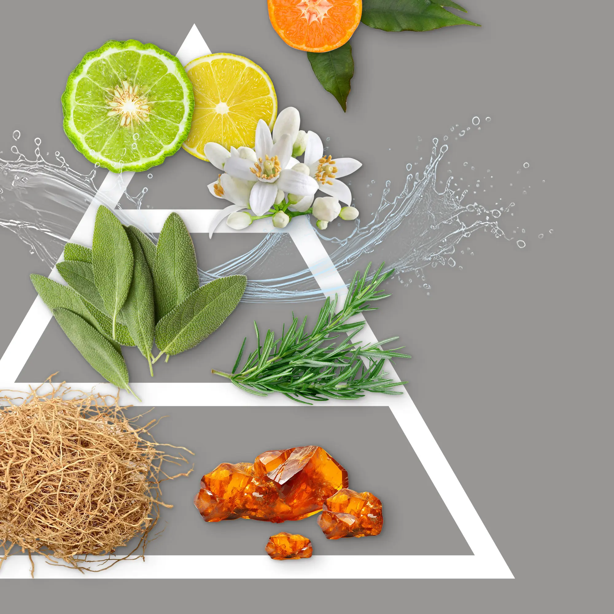 Désodorisant en bâtonnets 100 ml Sea Flavors